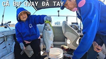 Câu Cá Bass Ở Hồ Mùa Hè | #70 | Đức Ở Úc Câu Cá