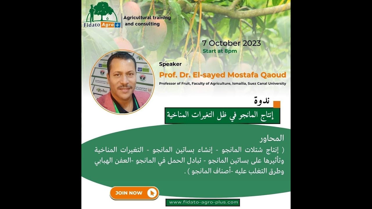 إنتاج المانجو في ظل التغيرات المناخية - د.السيد قاعود