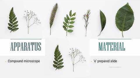 [SES] EXPERIMENT 1 : Basic Techniques of Microscopy