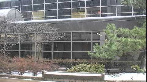 Rain and Snow Removal via Spatio-Temporal Frequency Analysis (2)