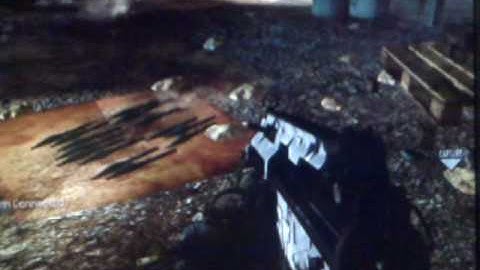 MW2 PC Edition hacked server?