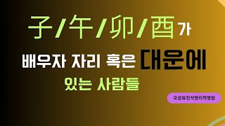 대운과 배우자 자리에서 子/午/卯/酉가 있는 사람들 오상유진석명리학강의