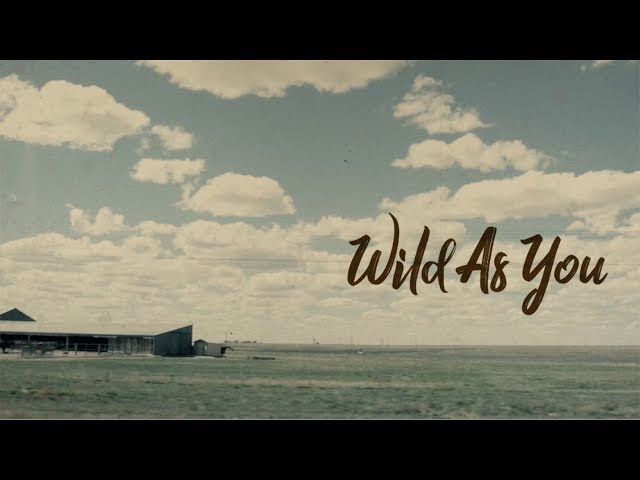 Cody Johnson - Wild As You (Official Lyric Video) class=