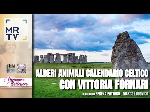 Video: Qual è il calendario degli alberi celtici?