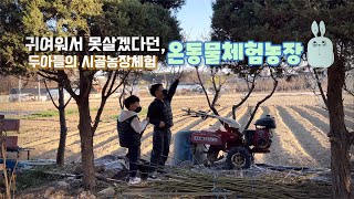 두아들의 시골농장 체험! 온동물체험농장에서 먹이주기, 모래놀이 하고 왔습니다 / 시흥 아이와 갈만한곳
