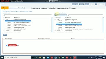 Primavera P6 Visualizer & Schedule Comparison (Watch & Learn)