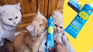 Pet me Gel উপকারিতা @কেন বিড়ালকে খাওয়াবেন #cat