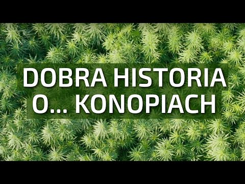 Wideo: Dobra historia