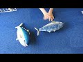 オスト ブルブルお魚 ぬいぐるみ