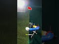 Plant-like robots that can "grow".
