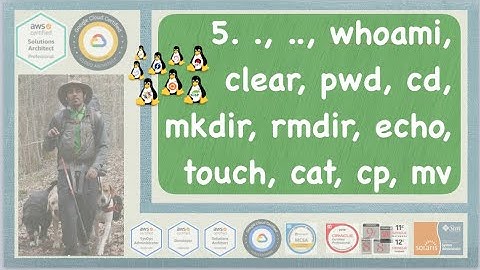 Linux and Bash Programming Training 5 - Commands whoami, clear, pwd, cd,*dir, echo, cat, cp, mv