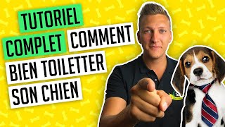 Toilettage chien : les conseils et solutions d'un toiletteur