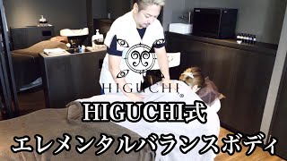 HIGUCHI式 エレメンタルバランスボディ