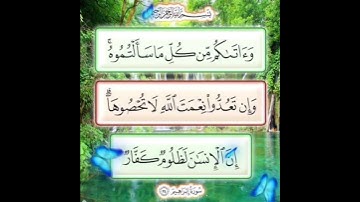 سورة إبراهيم الآية ( 34 )