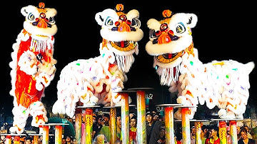 Múa Lân Sư Rồng Cực Hay 2025 , LSR Vương Anh Đường diễn Múa Lân Ông Địa nhảy Mai Hoa Thung