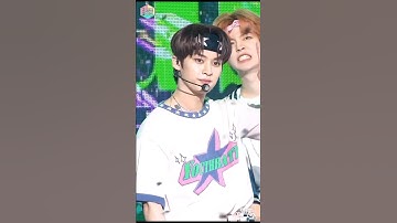 Ending Fairy Lee Know 🐰 ( Ft. Puppy 🐶 ) | #2min #leeknow #seungmin #straykids