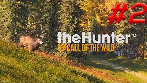 The Hunter: Call of The Wild Walkthrough #2