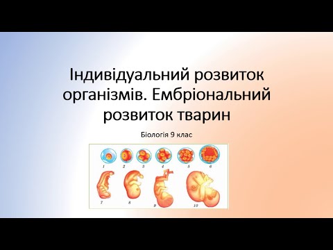 Біологія 9 клас. Етапи індивідуального розвитку організмів. Ембріональний розвиток тварин та рослин