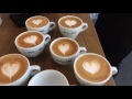 Barista Tutorial Live Part 3: Latte Art Basics - Heart, Rosetta, Tulip!