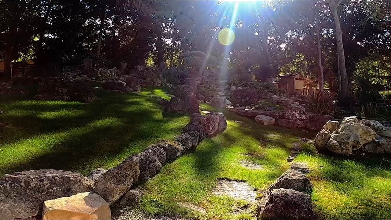 Japanese Garden in the park of Schönbrunn Palace
