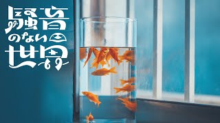 【Music】ガラスの金魚 - 騒音のない世界