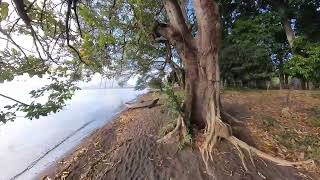 Mango Beach Ometepe Nicaragua