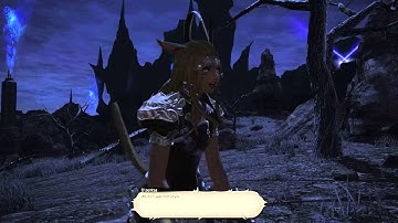 Final Fantasy XIV Heavensward Against the Shadow