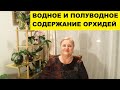 ВОДНЫЙ и ПОЛУВОДНЫЙ МЕТОД ВЫРАЩИВАНИЯ ОРХИДЕЙ