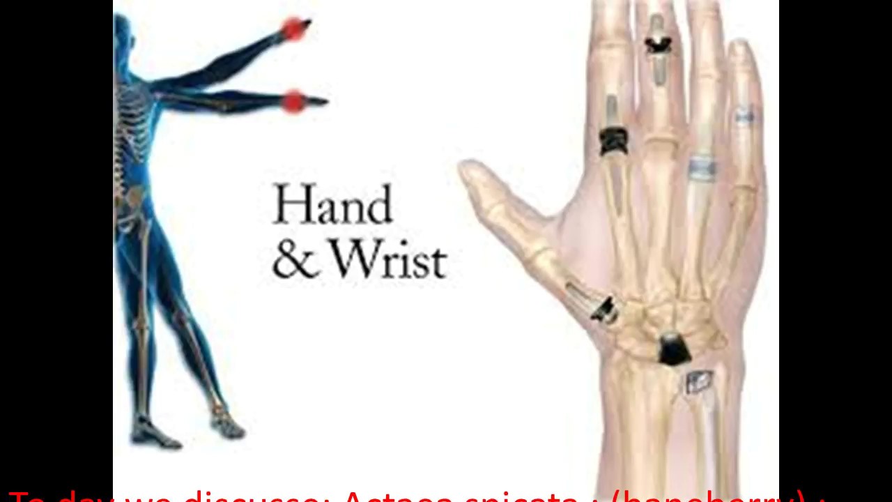 Remedy for Rheumatic pains in small joints, wrist, fingers, ankles, toes.