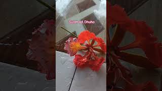 Surat Ad Dhuha rezeqi allohu