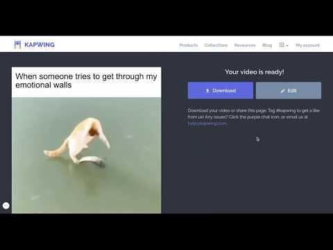 cat-on-ice,-fish-in-ice:-make-your-own-meme