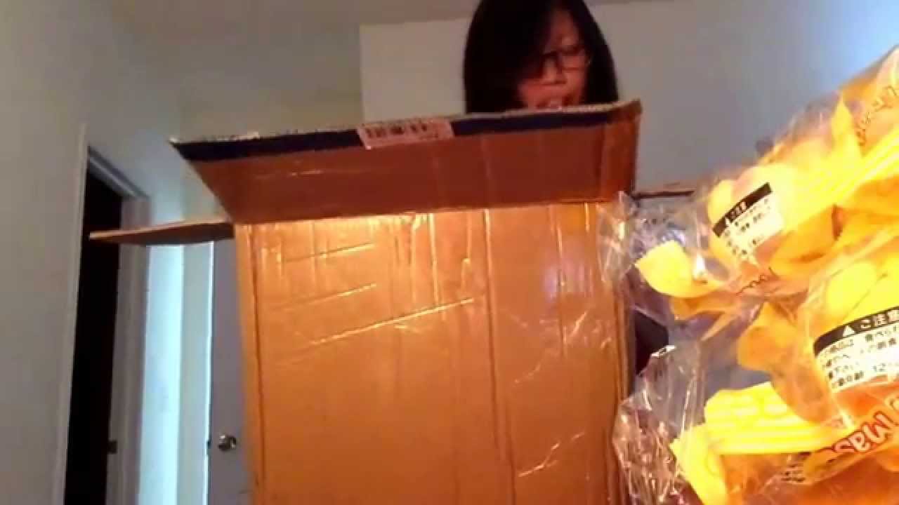 Soft bear mascot opening video squishytomato.com