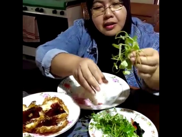 Khasiat Daun Sireh Cina Atau Ketumpang Air Youtube