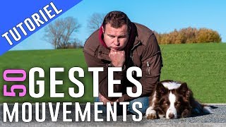 50 GESTES à APPRENDRE à mon CHIEN screenshot 5