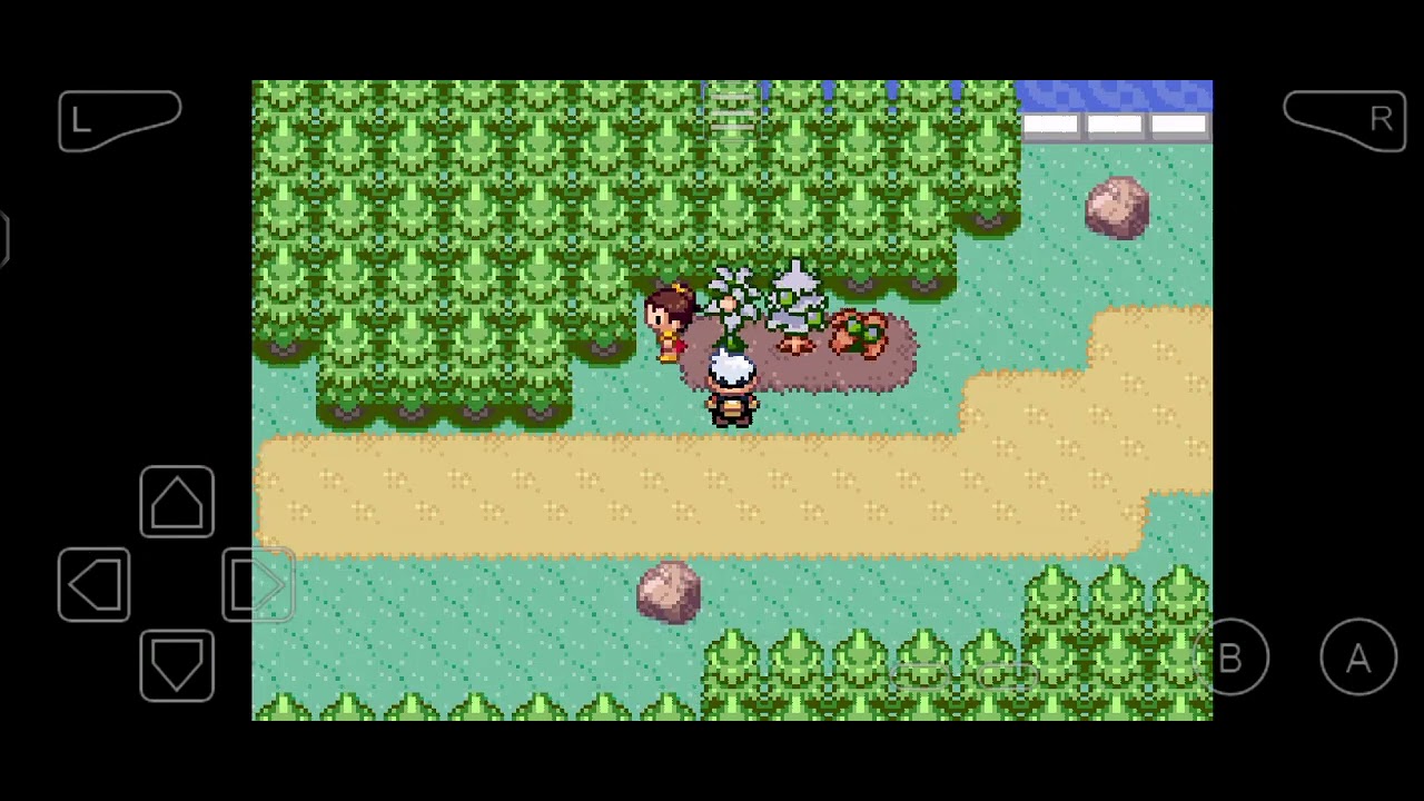 How To Get Giga Drain TM - Pokemon Sapphire