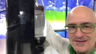 Where Do The Bubbles In Your Brainy Briny Beaker Bag Come From?