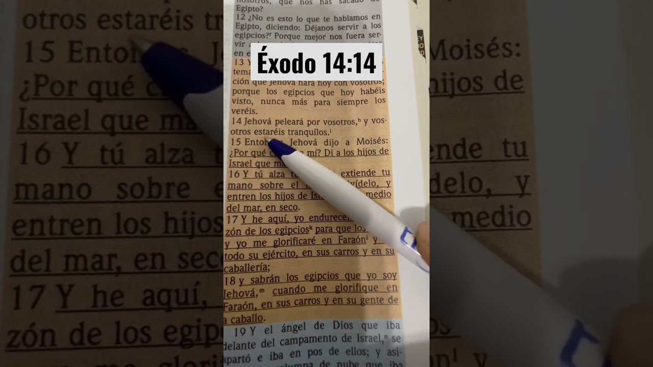 Иегова будет сражаться за нас, и мы будем в мире. /Исход 