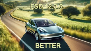 Tesla FSD 12.3.6 not perfect