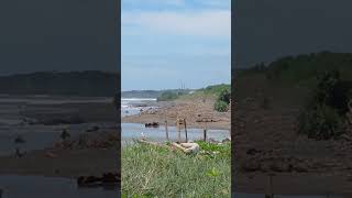 Tugu Lima bersejarah