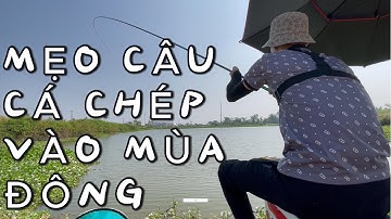 "Mẹo Câu Cá Chép Mùa Đông Hiệu Quả - Bí Quyết Chinh Phục Cá Lớn!"