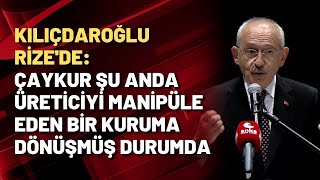 Kemal Kılıçdaroğlu: Çaykur Şu Anda Üreticiyi Manipüle Eden Bir Kuruma Dönüşmüş Durumda