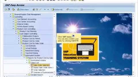 SAP CO Product Cost Controlling  Information System Product Cost Controlling