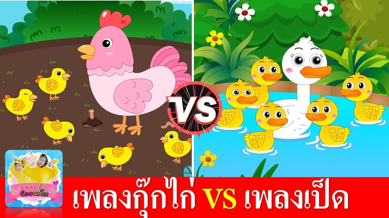 เพลงไก่ vs เพลงเป็ด | ไก่กุ๊กกุ๊กไก่สีชมพู+เป็ดแม่ลูกอาบน้ำในคลอง | สื่อสำหรับเด็ก