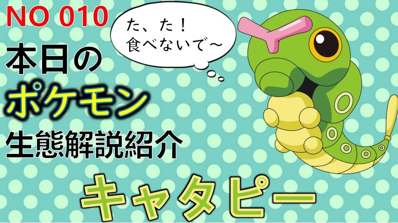 考察 ポケモン解説 ポケモン界の闇 キャタピーの生態と小ネタ解説 010 ゆっくり実況ポケモン図鑑 平日18時30分毎日投稿中 ポケモン図鑑詳細版 Youtube