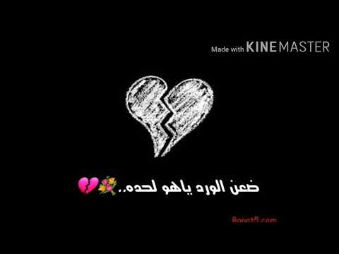 ينشدوني عنك وابتسم بس اذكر الفركه انلثم وينك حبيبي سيد فاقد الموسوي