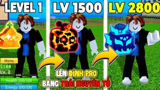 The Journey to MAX LEVEL in Blox Fruits Using Only Logia Fruits