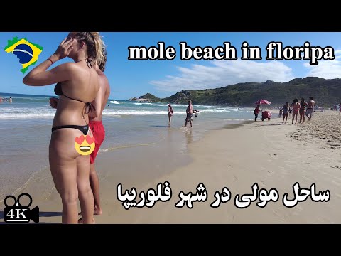 Walking on mole beach, floripa,  brazil, 2022 【4K】