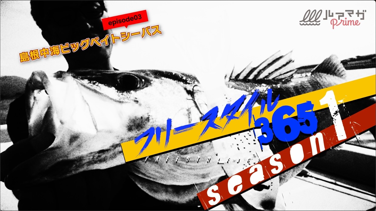 【島根のモンスター炸裂！】最新ビッグベイトVS大型シーバス！　奥田学が吼える！