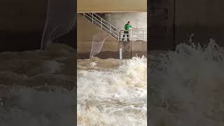 Amazing catch fish by scoop net fishing,fishnet trap#fishing#traditional#shortvideo #scoop