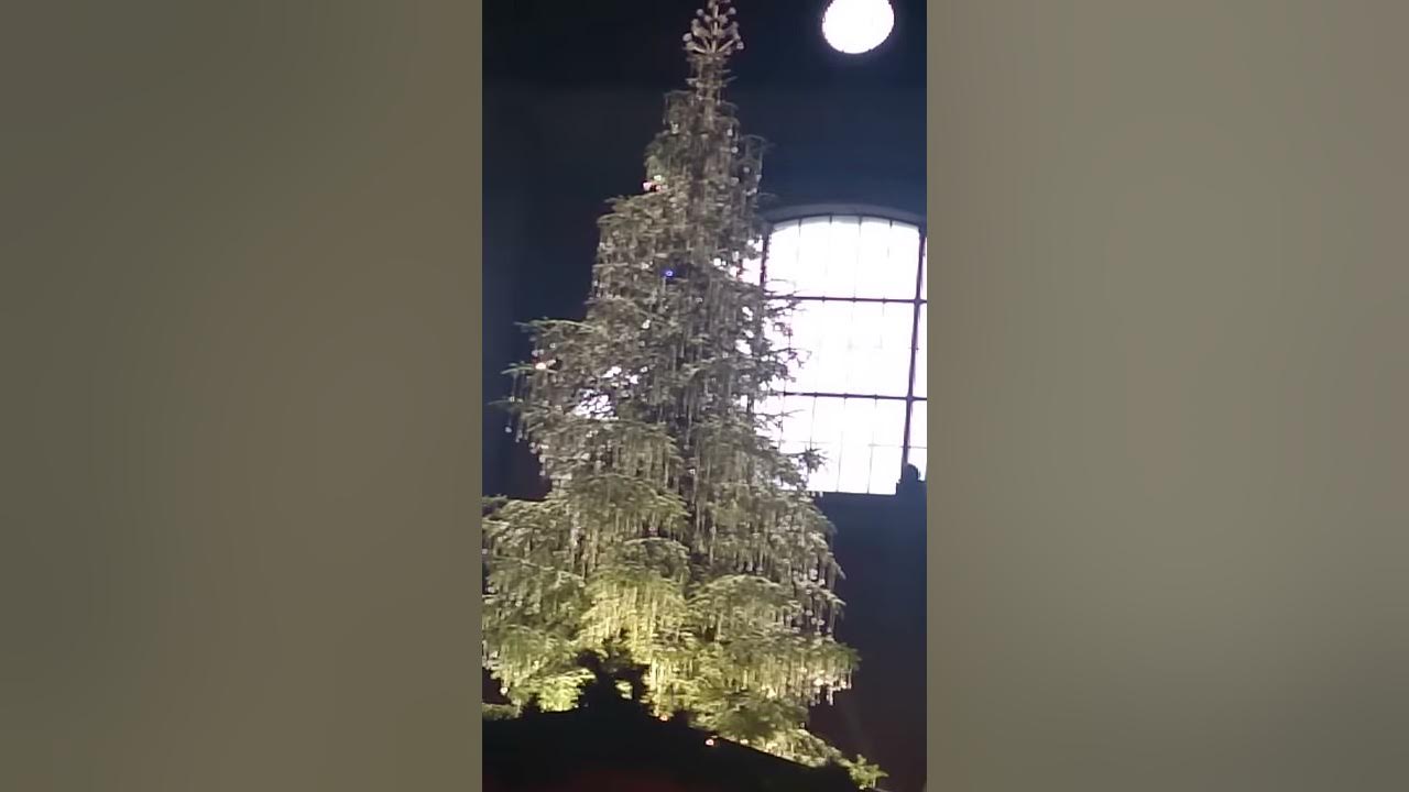 Swarovski Weihnachtsbaum in Zürich YouTube